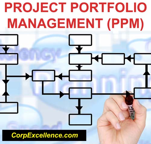 PPM portfolio management